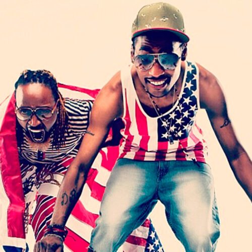 yingyangtwins
